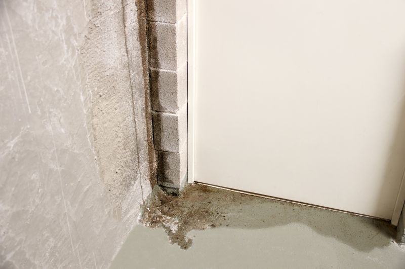 Wet Basement Repair
