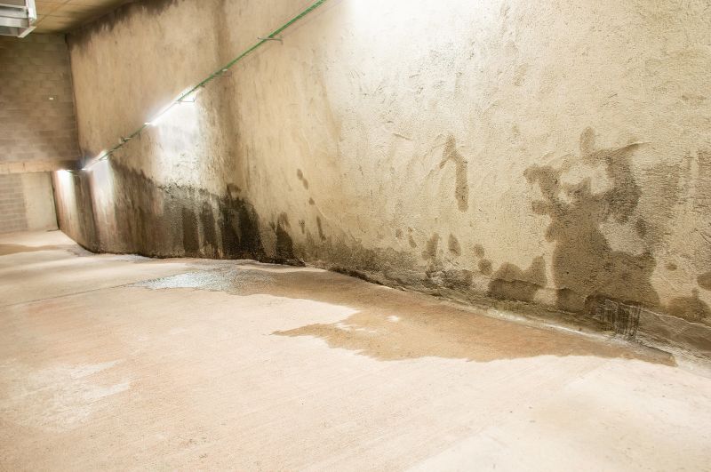 Wet Basement Repair
