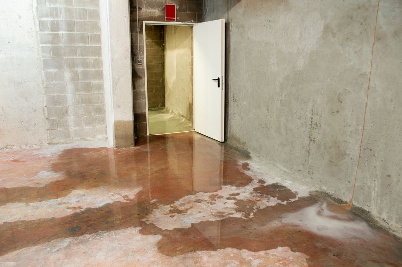 Wet Basement Repair
